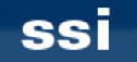 Strategic Solutions INC.